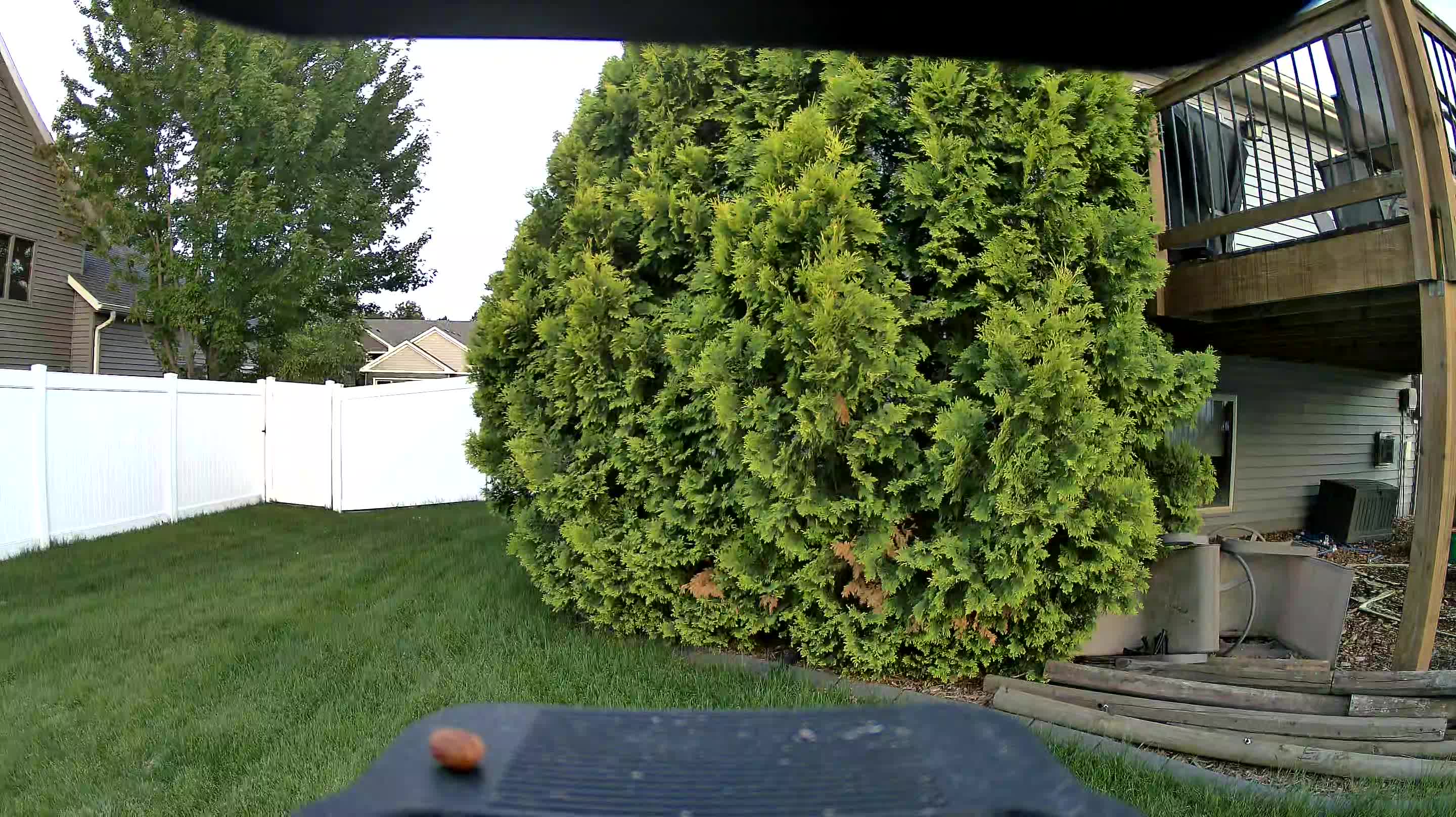 Unidentified clip